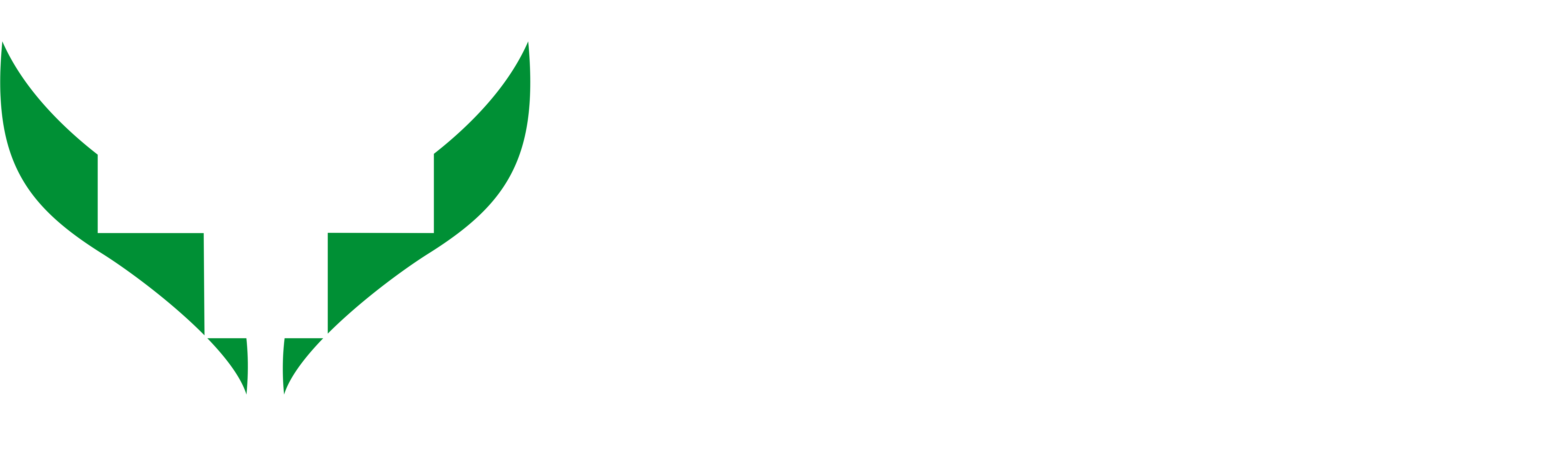 GSO Logo